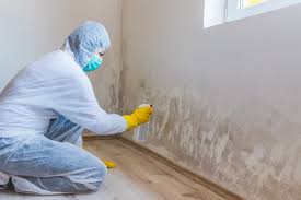 Best Mold Damage Restoration  in Port St John, FL